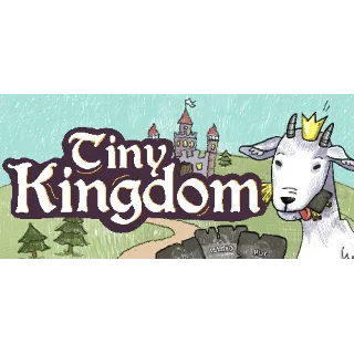 Купить Tiny Kingdom 💎 АВТОДОСТАВКА STEAM РОССИЯ