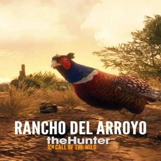 Купить 🔴 theHunter: Call of the Wild™ - Rancho Del Arroyo ✅ E