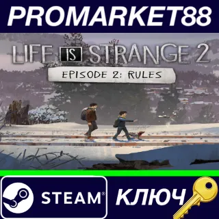 Купить ⭐ Life is Strange 2 - Episode 2 Steam КЛЮЧ 🔑 GLOBAL