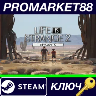 Купить ⭐ Life is Strange 2 - Episode 5 Steam КЛЮЧ 🔑 GLOBAL