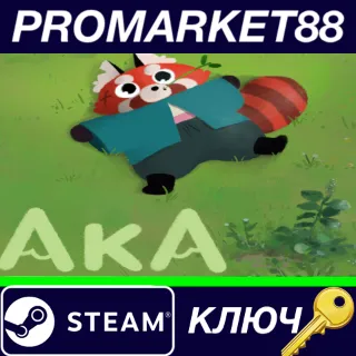 Купить ⭐ Aka Steam КЛЮЧ 🔑 GLOBAL
