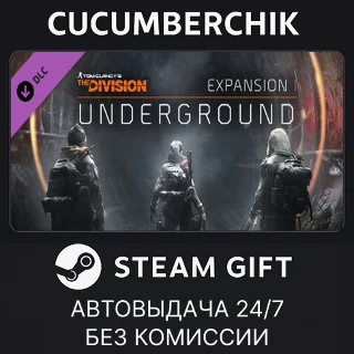 Купить Tom Clancy's The Division - Underground ✅ STEAM ✅ RU+МИР