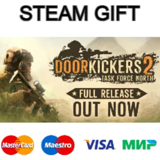Купить Door Kickers 2: Task Force North| steam RU/UA/KZ/CНГ
