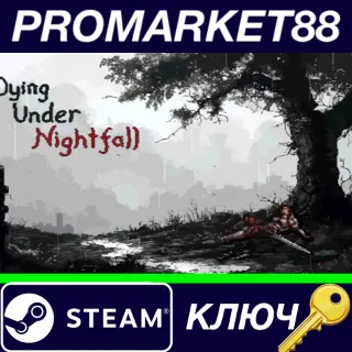 Купить ⭐ DYING UNDER NIGHTFALL&nbsp; Steam КЛЮЧ 🔑 GLOBAL