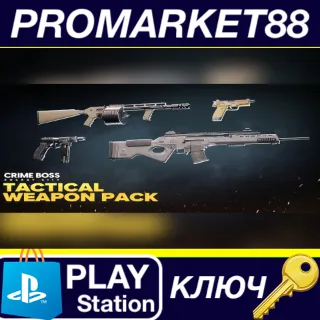 Купить ⭐ Crime Boss: Rockay City - Tactical Weapon Pack DLC EU
