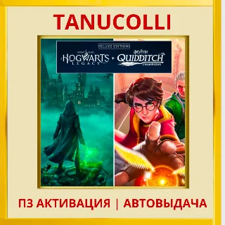 Купить Hogwarts + Harry Potter Quidditch (PS4/PS5/RU Активация