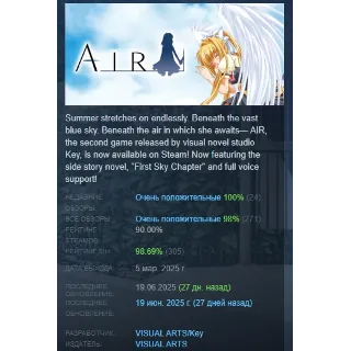 Купить AIR 2025 АВТОДОСТАВКА STEAM РОССИЯ