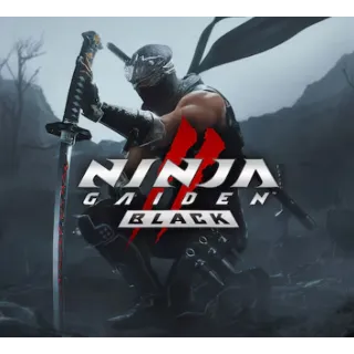 Купить ⚫ NINJA GAIDEN 2 Black ⚫ Steam (ПК) 🚩 TR