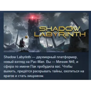 Купить Shadow Labyrinth АВТОДОСТАВКА STEAM РОССИЯ