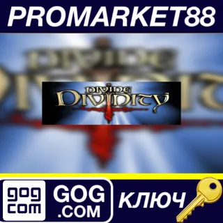 Купить ⭐ Divine Divinity GOG КЛЮЧ 🔑 GLOBAL