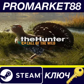Купить ⭐ theHunter: Call of the Wild - Revontuli Coast DLC EU