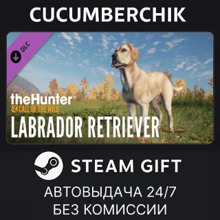 Купить theHunter: Call of the Wild™ - Labrador Retriever ✅ STEAM GIFT AUTO ✅ RU+МИР