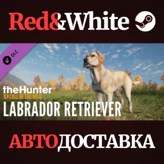 Купить theHunter: Call of the Wild™ - Labrador Retriever DLC