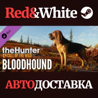 Купить theHunter: Call of the Wild™ - Bloodhound DLC
