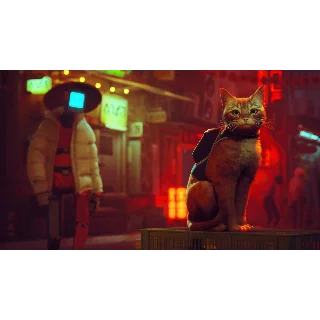 Купить Stray - Оффлайн