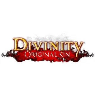 Купить Divinity Original Sin - Оффлайн