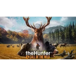 Купить theHunter Call of the Wild - Оффлайн