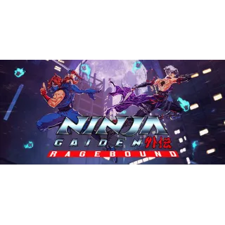 Купить NINJA GAIDEN: Ragebound steam мир