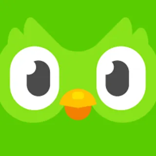 Купить Duolingo Plus годовая подписка для одного пользователя
