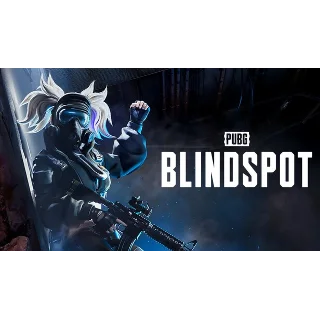Купить PUBG: BLINDSPOT Ключ раннего доступа | Код для STEAM