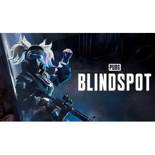Купить PUBG: BLINDSPOT Ключ раннего доступа | Код для STEAM