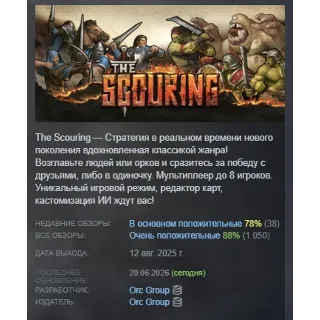 Купить The Scouring АВТОДОСТАВКА STEAM РОССИЯ