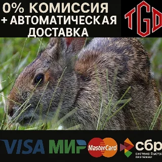 Купить 🔥 Warhammer 40,000: Dawn of War-Definitive | Steam РУ+