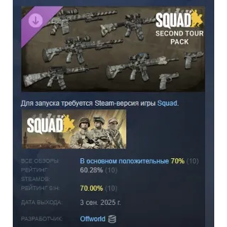 Купить Squad Weapon Skins - Second Tour Pack DLC АВТОДОСТАВКА STEAM РОССИЯ