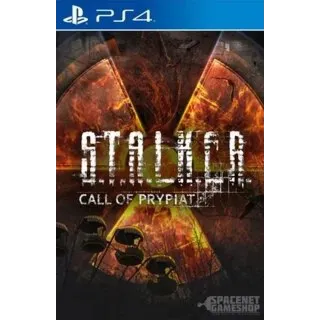 Купить S.T.A.L.K.E.R.: Call of Prypiat PS4 PS5 П2 П3
