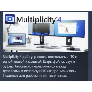 Купить Multiplicity 4 Pro АВТОДОСТАВКА STEAM РОССИЯ