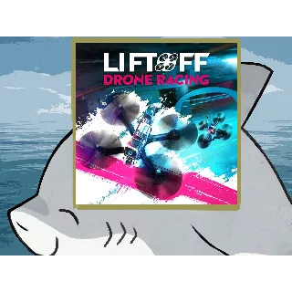 Купить 🌀 Liftoff: Drone Racing PS4 PS5 п2 п3