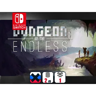 Купить Dungeon of the Endless | Nintendo Switch