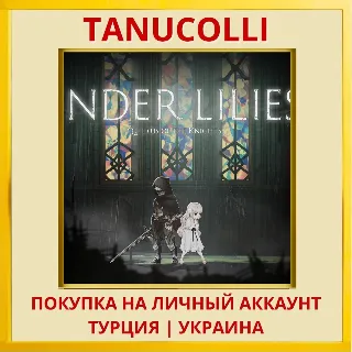 Купить ENDER LILIES: Quietus of t... PS4/PS5/PS Турция/Украина