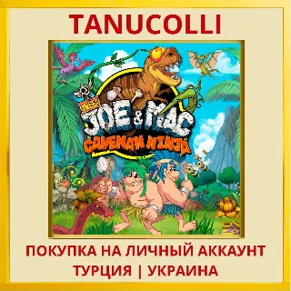 Купить NEW Joe  Mac - Caveman Ninja PS4/PS5/PS Турция/Украина