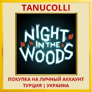 Купить Night in the Woods PS4/PS5/PS Турция/Украина