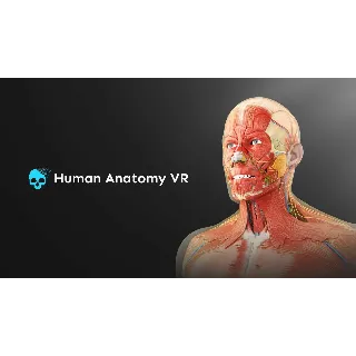 Купить Анатомия человека VR Мета Квест