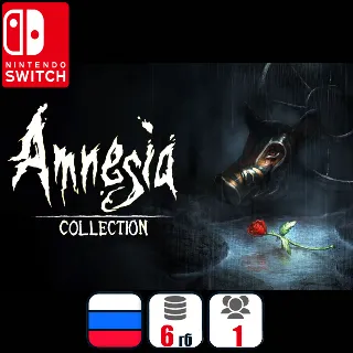 Купить Amnesia: Collection | Nintendo Switch 1/2