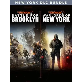 Купить Tom Clancy's The Division 2 - New York DLC Bundle