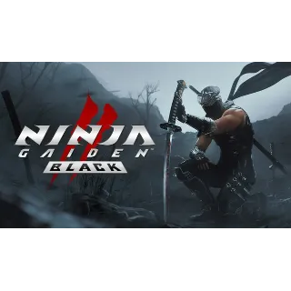 Купить ⭐ ️ NINJA GAIDEN 2 Black [Steam/Global]
