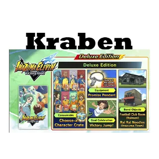 Купить INAZUMA ELEVEN: Victory Road Deluxe Edition steam МИР