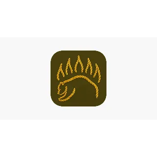 Купить Knot IQ — Основы Bear Google plag