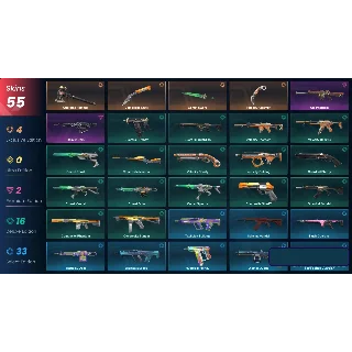 Купить VALORANT 💎 55 скинов | 100 уровень | Полный доступ + 🎁