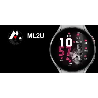 Купить Циферблат ML2U 610 Google plag