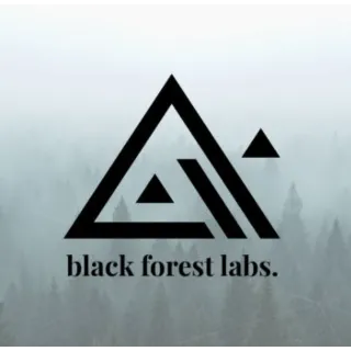 Купить Black Forest Labs | BFL AI / КРЕДИТЫ