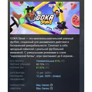 Купить GOKA Street АВТОДОСТАВКА STEAM РОССИЯ