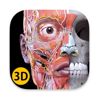 Купить Anatomy 3D Atlas Полная версия Microsoft Store Windows