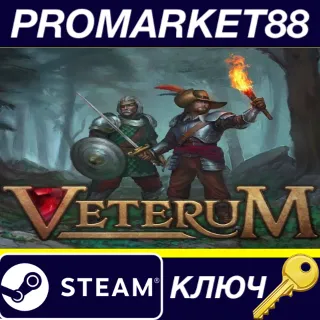 Купить Veterum Steam КЛЮЧ GLOBAL