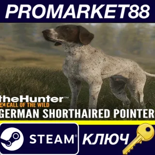 Купить theHunter: Call of the Wild - German Shorthaired Pointe