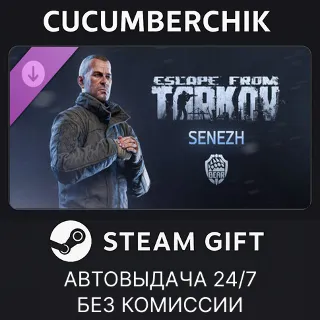 Купить Escape from Tarkov: BEAR - Senezh ✅ STEAM GIFT AUTO ✅ RU+МИР