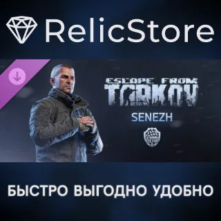 Купить Escape from Tarkov: BEAR - Сенеж DLC - STEAM RU